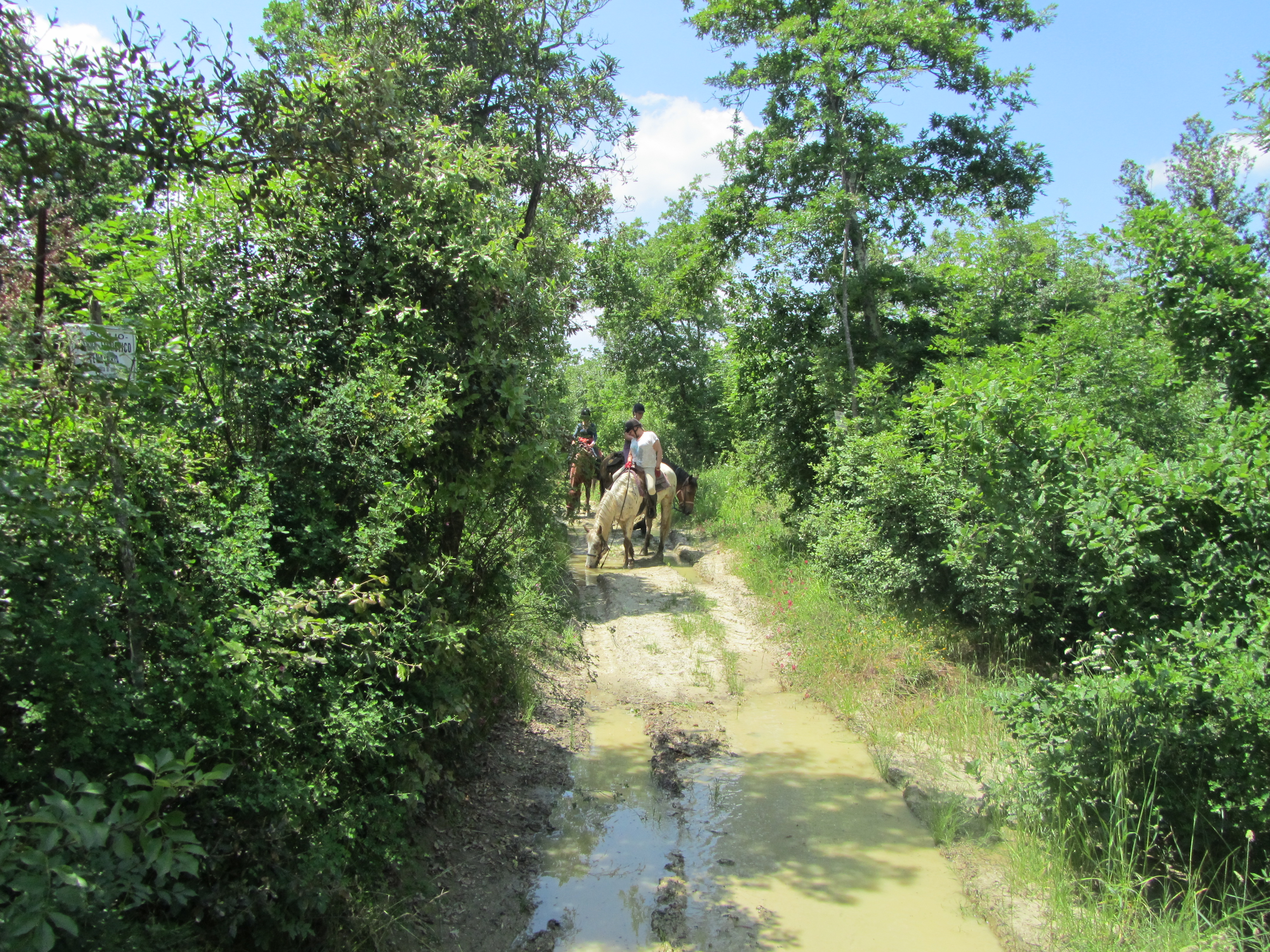 horse riding